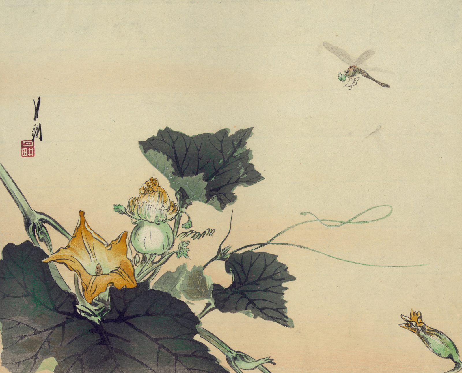 A kabocha squash vine in a color woodblock print: a large orange-yellow blossom and a young green fruit among broad dark leaves, a dragonfly hovering above